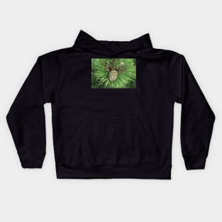 Young Pine Cone in Greens Kids Hoodie